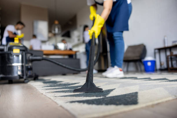 How a Professional Commercial Carpet Cleaning Service Supports Workplace Health Standards 1 How a Professional Commercial Carpet Cleaning Service Supports Workplace Health Standards
